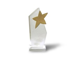 image trophy_4_a-jpg